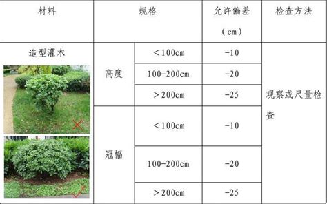 灌木種植密度|灌木种植密度计算公式